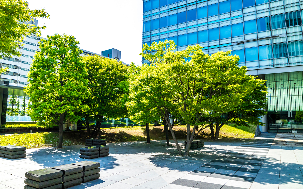 施設の魅力を高める緑と景観のトータルプラン